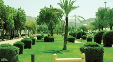 Product Banner