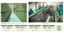 Product Banner