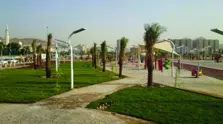 Product Banner