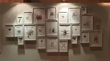 Product Banner